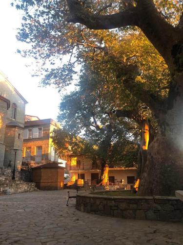 Nature Paradise Apartment