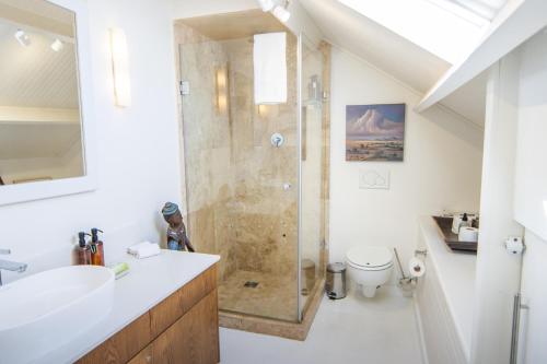 a bathroom with a shower and a sink at Le Grenier Luxury Loft in Franschhoek