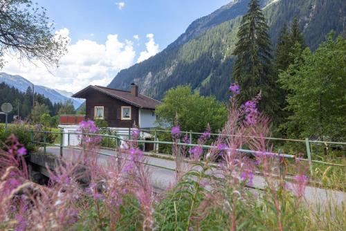 a house on the side of a mountain with purple flowers at Casa Christian in Partenen