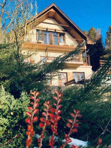 Repülőhal Apartmanház