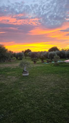 a sunset in a field with a statue in the grass at I Secolari di Giulia 2 in Avola