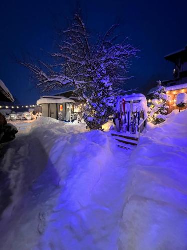 a yard covered in snow at night with a christmas tree at ALPENHOTEL TYROL - B&B - ADULTS ONLY - Alpines Lifestyle-Konzepthotel - dog friendly in Pertisau