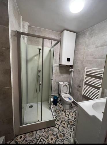 une salle de bain avec douche et toilettes dans l'établissement Cozy appartement near Opera and Galeries Lafayette Haussmann, à Berthouvilliers