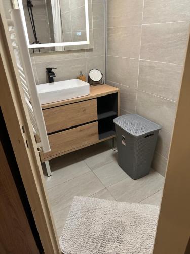 La salle de bains est pourvue d'un lavabo, d'un miroir et d'un trashcan. dans l'établissement Vieux-Port, avec garage privé, à Marseille