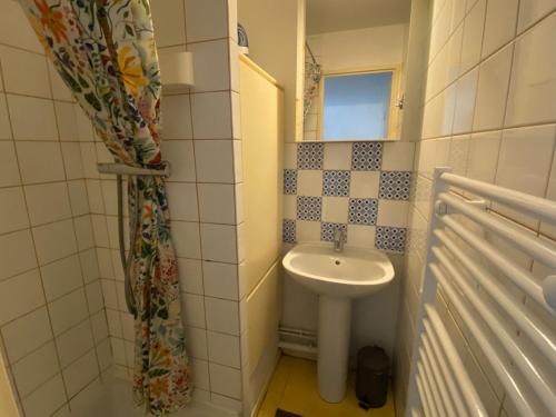 une petite salle de bain avec un lavabo et un miroir dans l'établissement Andromede, à Les Deux Alpes