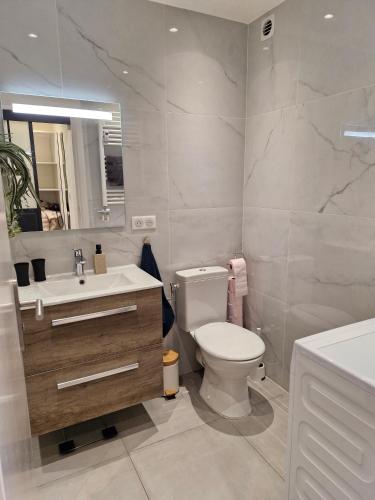 une salle de bain avec toilettes, lavabo et miroir dans l'établissement Sunny and cosy sea view studio, à Antibes