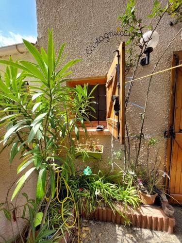 un groupe de plantes devant un bâtiment dans l'établissement Pavillon de vacances proche plage et commerces avec parking - 4CAP31, à Saint Cyprien Plage