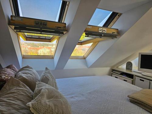Penthouse Easydoor