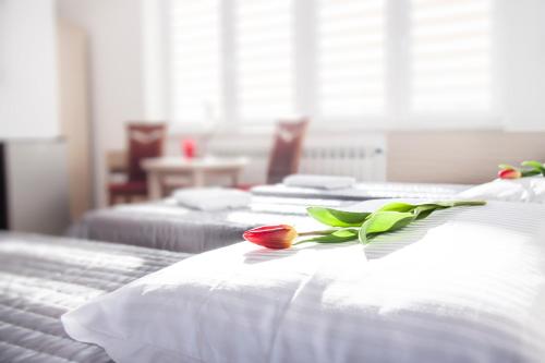 Noclegi Sebastian w Centrum