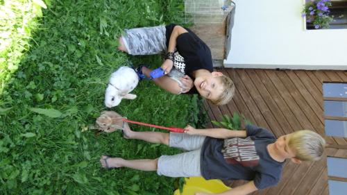 two boys are playing with a dog on a leash at Pension Forsthof in Maishofen