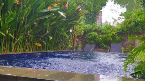 a swimming pool in the middle of a garden at Pranajaya loka villa in Tejakula