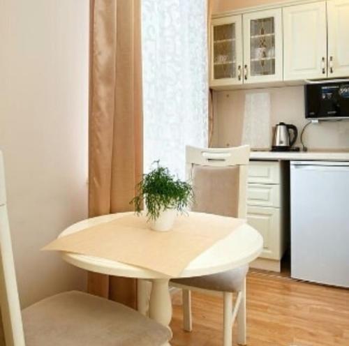 a small kitchen with a table with a plant on it at Apartment on Sumskaya 46 "Central Residence" in Kharkiv