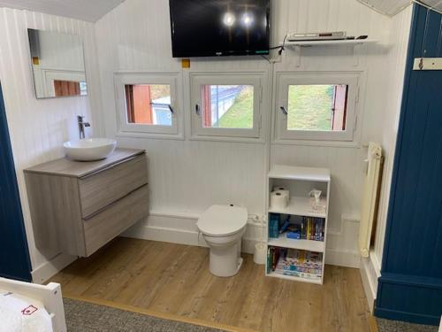 une petite salle de bain avec un lavabo et des toilettes dans l'établissement Appt La Mongie pied des pistes avec vues montagne, à Bagnères-de-Bigorre
