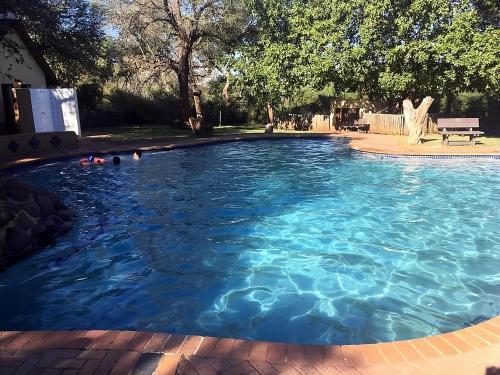 Bazén v ubytování Yebo Safari Tents-Stay Inside Kruger nebo v jeho okolí