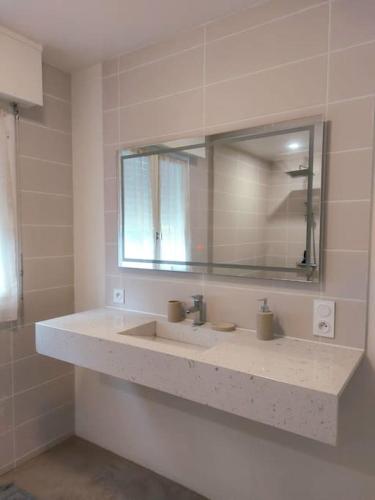 a bathroom with a sink and a mirror at La maison Prochasson in Le Trévoux
