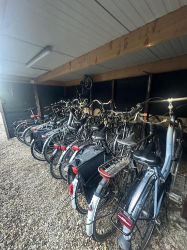 a row of bikes parked in a room at Ruime boerderij met haard, pooltafel en veranda in Goilberdingen