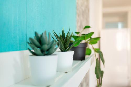 a couple of plants sitting on a white shelf at 1B Ren Coqueto Apartamento in Vecindario