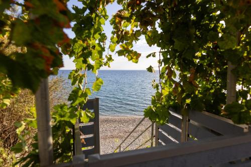 a bench on a beach with the ocean in the background at Ammoudeli Apartments in Plomarion