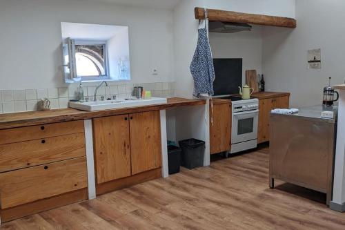 a kitchen with wooden cabinets and a sink and a stove at Ludogîte Graine de Jeux in Espaly-Saint-Marcel