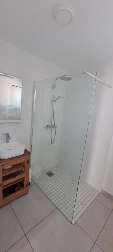 a bathroom with a shower and a sink at Petite maison de bord de mer in Plobannalec-Lesconil