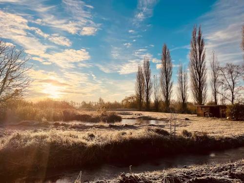a frosty field with trees in the background at De Twee Zwanen in Delfstrahuizen