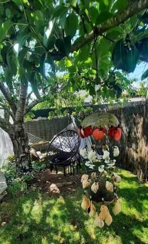 a tree with umbrellas in a yard with a swing at Albergue Vintecatro in Caldas de Reis
