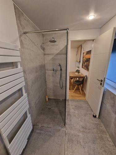 a walk in shower with a glass door in a bathroom at Handwerkerwohnung, Monteurunterkunft-Rodgau in Rodgau