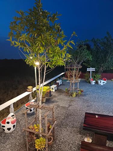 Taman di luar I miss you โฮมสเตย์อยุธยา