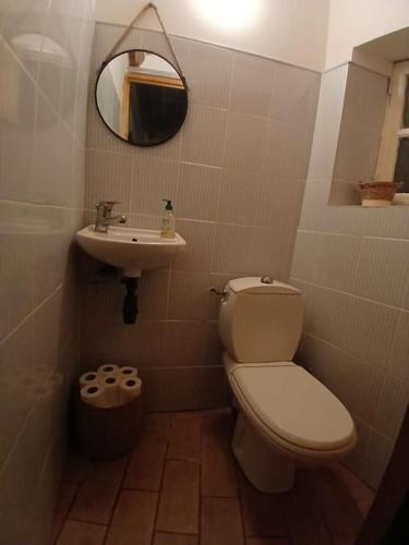 une petite salle de bain avec toilettes et lavabo dans l'établissement Maison de village cosy, grande terrasse dominante, à La Rouvière