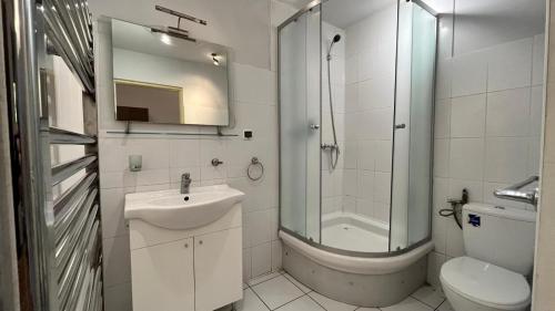 a bathroom with a sink and a shower and a toilet at The Stag Ultracentral OldTown Apartment in Braşov