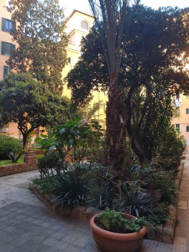 Appartamento La Doriana