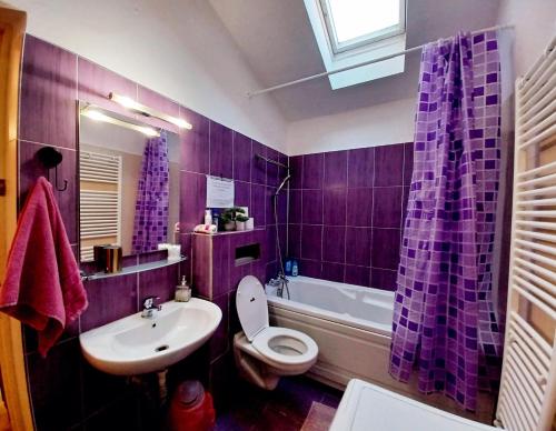 een paarse badkamer met een toilet en een wastafel bij Lovely Central Apartment in Braşov