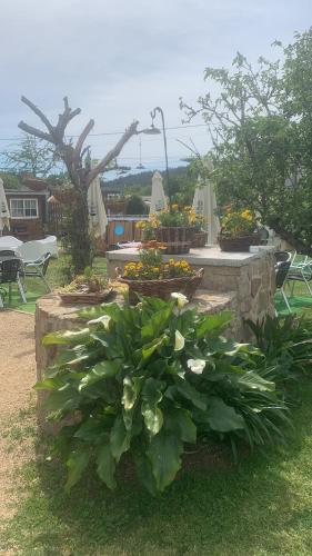 a garden with several pots of flowers and plants at Albergue Vintecatro in Caldas de Reis