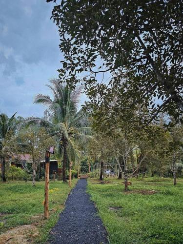 a gravel path in a field with palm trees at Cheewatra Farmstay Phuket ชีวาตรา ฟาร์มสเตย์ ภูเก็ต in Thalang