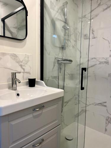 une salle de bain avec un lavabo et une douche dans l'établissement Studiocosy proche Bordeaux, parking gratuit, clim, à Eysines