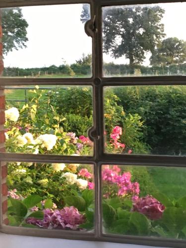 an open window looking out at a garden with flowers at Hoheluft am Wittensee Apt 1 in Groß Wittensee