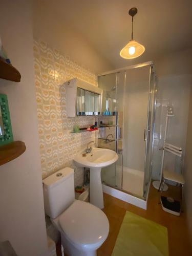 une salle de bain avec toilettes, lavabo et douche dans l'établissement French Riviera Saint Raphaël Retreat, à Saint-Raphaël