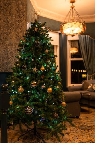 a green christmas tree in a living room at The Lansdowne, Eastbourne in Eastbourne