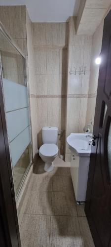 a bathroom with a toilet and a shower and a sink at Hotel Blue Sky Resort in Eforie Nord