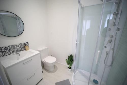 une salle de bain avec une douche, des toilettes et un lavabo dans l'établissement Paul Bert-2 studio avec extérieur privatif, à Cambrai