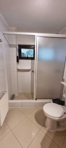 a bathroom with a toilet and a shower with a window at Hotel y Cabañas Lago Ranco - Caja los Andes in Futrono