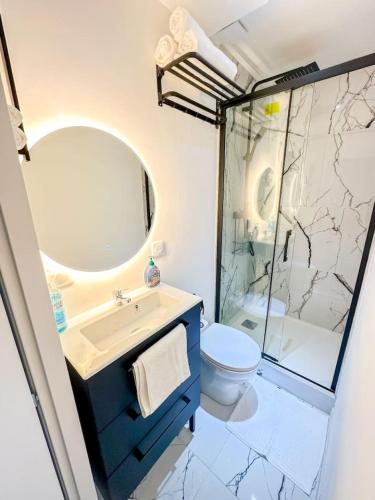 une salle de bain avec un lavabo, des toilettes et une douche dans l'établissement Cosy Studio Toulouse centre, à Toulouse