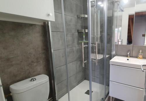une salle de bain avec une douche, des toilettes et un lavabo dans l'établissement L'Azur - Maison avec terrasse proche plage, au Barcarès