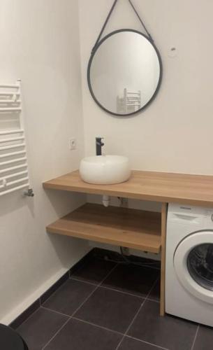 une salle de bain avec un lavabo et un miroir sur un comptoir dans l'établissement Appartement vue vigne, à Perpignan