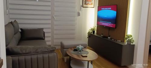 Una televisión o centro de entretenimiento en Picasso Divcibare Kota 992
