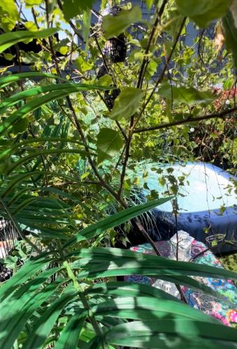 a person laying on a bed obscured by trees at Sandy feet retreat in Exmouth