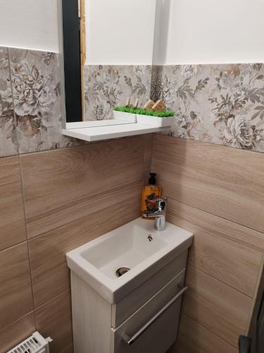a bathroom with a white sink and a mirror at Touch the Sky in Moieciu de Jos