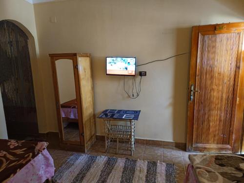 TV a/nebo společenská místnost v ubytování فندق النخيل