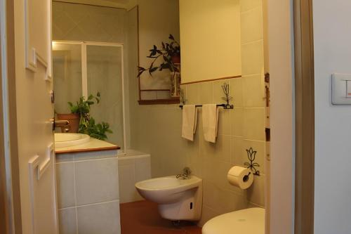 Pitti Palace - Original Florentine Accommodation