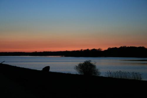 a dog sitting on the shore of a lake at sunset at Hotel Seeblick garni in Gartow